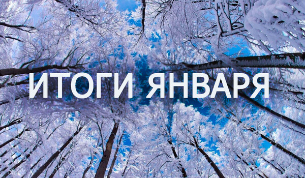Итоги января 2019